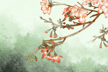 九紫离火运最旺什么命格 九紫离火命好不好 九紫离火运最旺什么命格 九紫离火命好不好