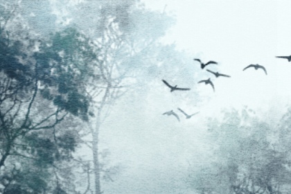 95年五行属性是属什么的 1995年属猪的人2023年的运程 95年五行属性是属什么的 1995年属猪的人2023年的运程