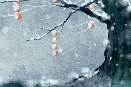 1986年五行属 1986年属虎性格特点 1986年五行属 1986年属虎性格特点