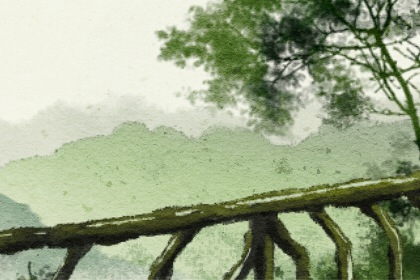 62年五行属什么命 62年属虎一生的命运 62年五行属什么命 62年属虎一生的命运