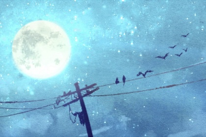 84年的五行属什么 1984的鼠一生婚姻状况 84年的五行属什么 1984的鼠一生婚姻状况