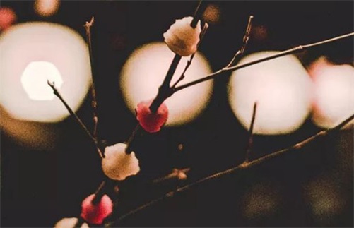 生肖属鸡2023年7月出远门吉利日子,出行吉日查询